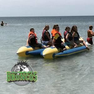 Meet your Posher, Quinn